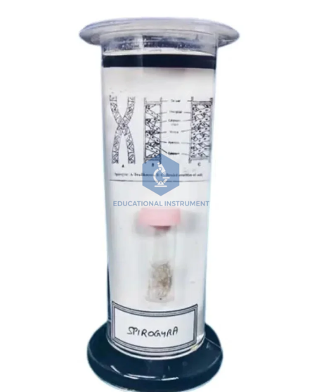 Botany Specimens (Common)